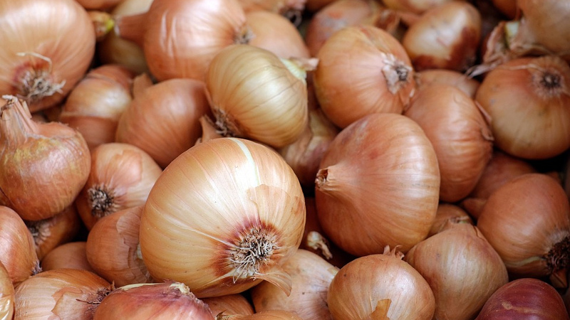 How to use onion peel for prostatitis: traditional medicine recipes for men