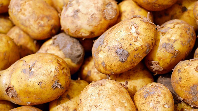 How to check the presence of cadmium in potatoes, and how it is dangerous to humans