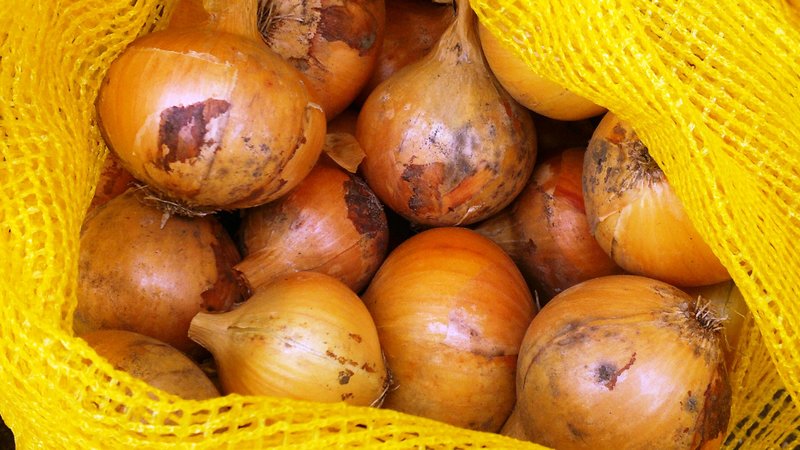 A step-by-step guide on how to keep onion sets until spring at home