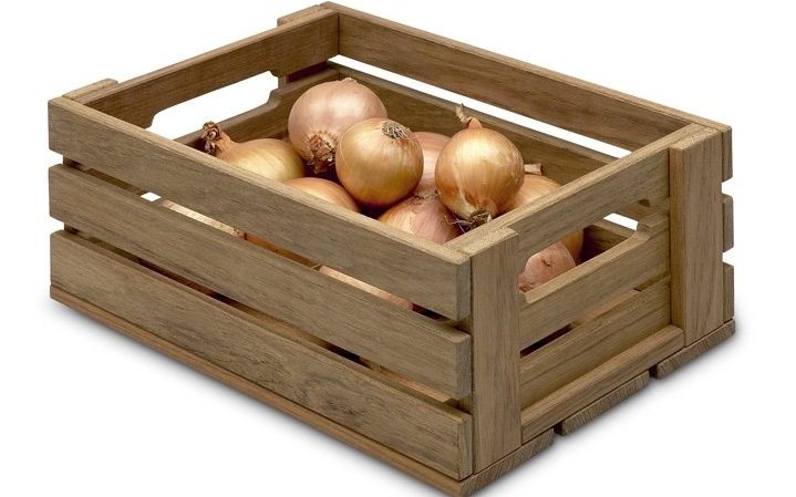 Best recommendations: how to keep onions at home in an apartment