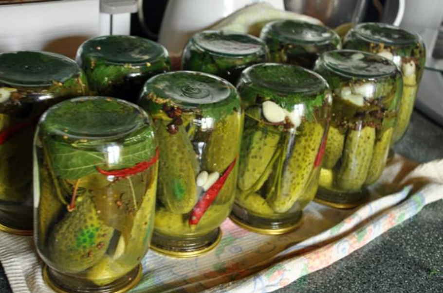 How to salt bitter cucumbers for the winter and can it be done?