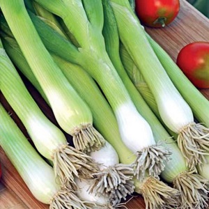 How to grow a batun onion: planting and care in the open field before winter