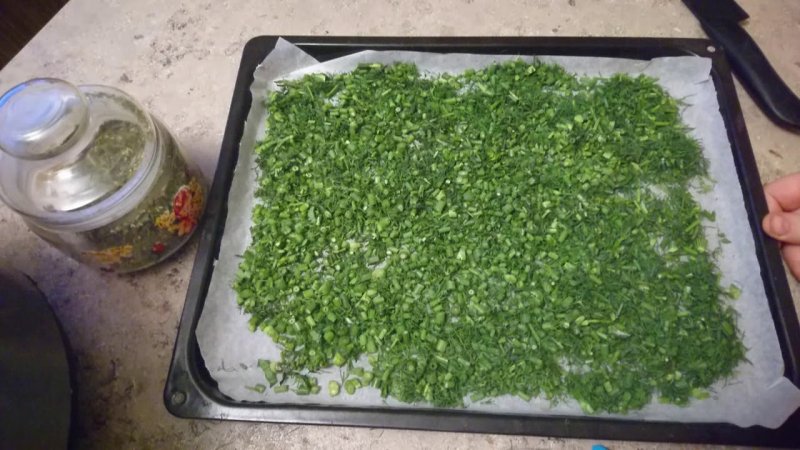 Step-by-step recommendations: how to dry green onions for the winter at home