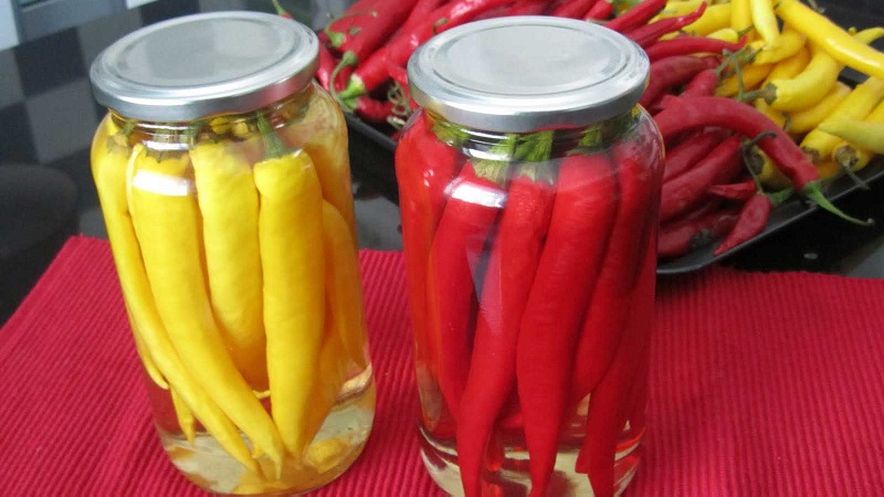 How to salt hot peppers for the winter without sterilization: the best recipes and recommendations for closing jars