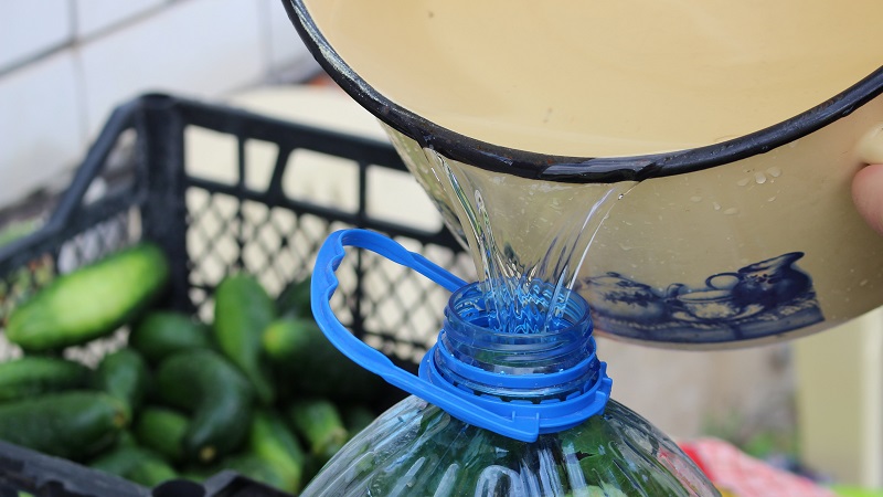 How to pickle cucumbers in a 5 liter plastic bottle: preparation, preparation and storage
