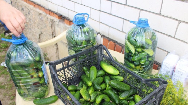 How to pickle cucumbers in a 5 liter plastic bottle: preparation, preparation and storage