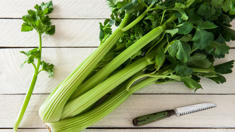 What types of celery are and how they differ