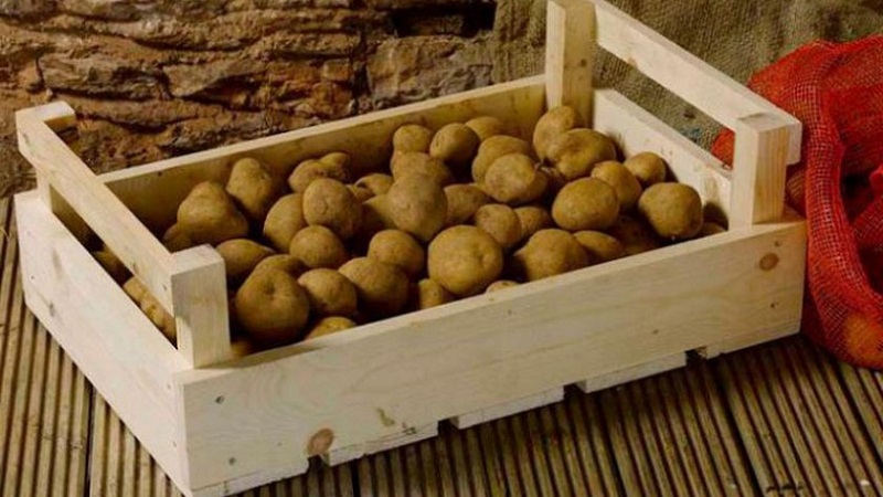 What is the maximum shelf life of potatoes and how to extend it