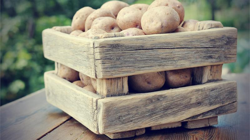 What is the maximum shelf life of potatoes and how to extend it