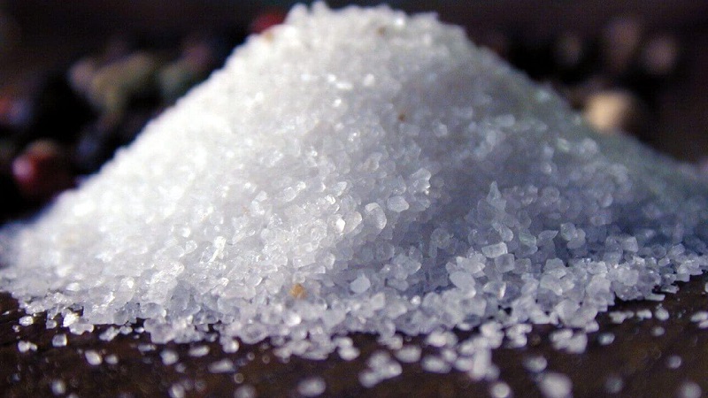 We make the blanks correctly: what kind of salt is best to salt cabbage