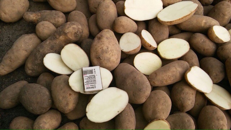 What is the caliber of potatoes (table) and what does it mean