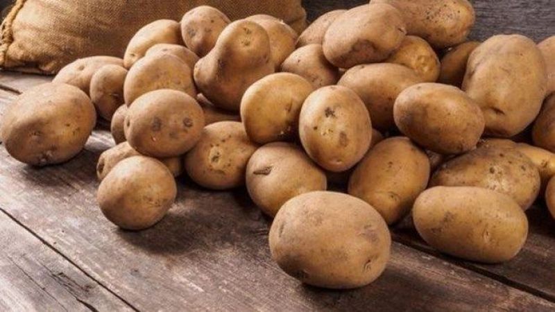 Calorie content of buckwheat, potatoes and millet - which one is healthier