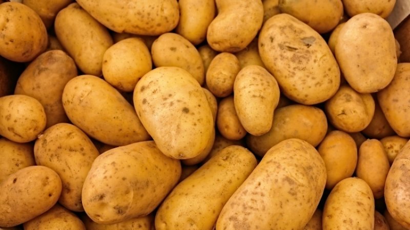 Calorie content of buckwheat, potatoes and millet - which one is healthier