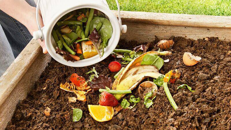 For which plants can potato peelings be used as fertilizer