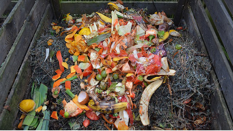 For which plants can potato peelings be used as fertilizer