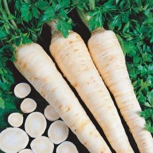 Why root parsley is good and why it is worth growing