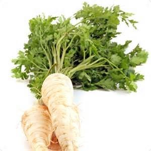 Why root parsley is good and why it is worth growing