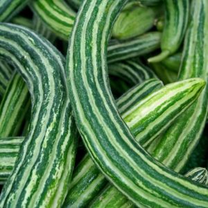 Round cucumbers and other exotic varieties