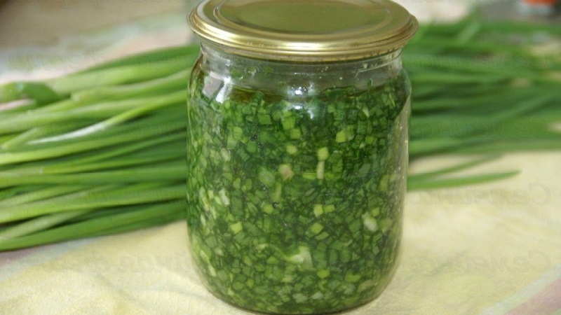 The best recipes on how to salt green onions for the winter quickly and easily