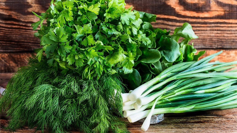 The best recipes on how to salt green onions for the winter quickly and easily
