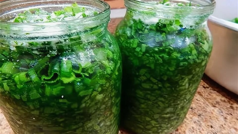 The best recipes on how to salt green onions for the winter quickly and easily
