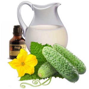 The best recipes for feeding cucumbers with milk and iodine