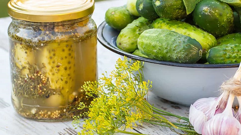 The best recipes for cooking cucumbers with mustard for the winter in jars in a cold way