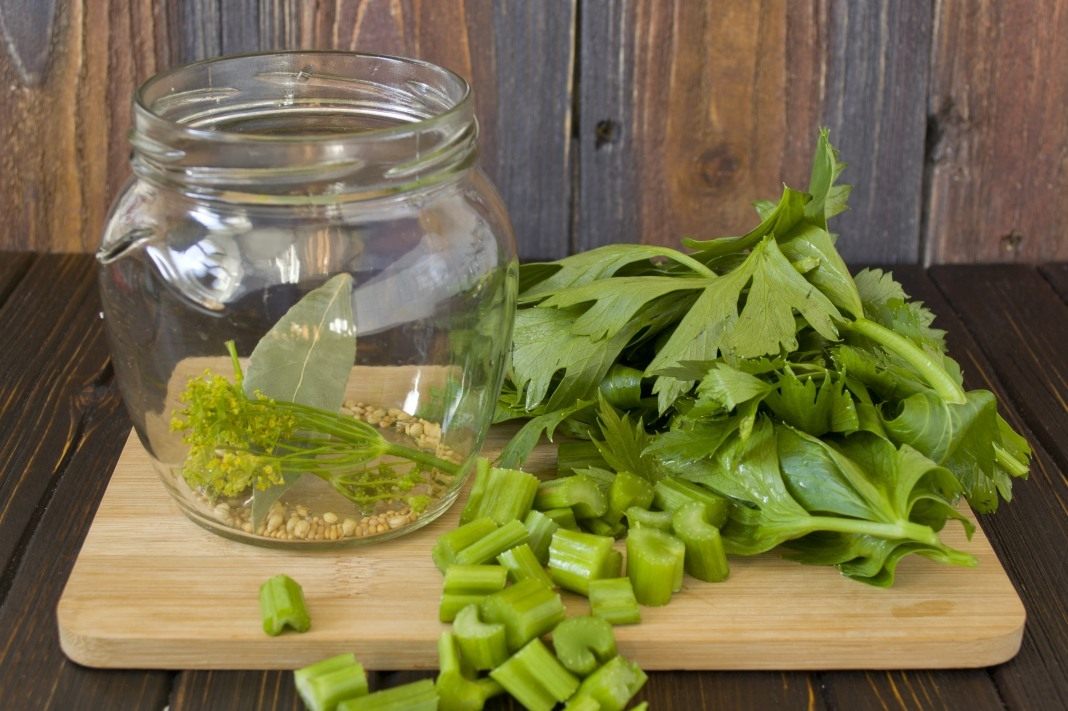 The best recipes for harvesting leaf celery for the winter