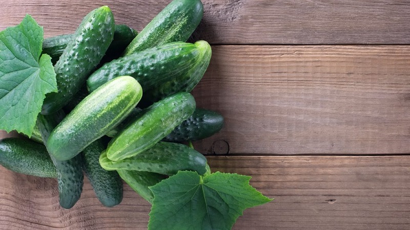 The best self-pollinated varieties of cucumbers for open ground
