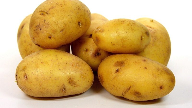 The best Siberian potato varieties and tips for growing them