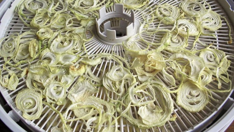 Top tips: how to properly dry onions after harvesting from the garden