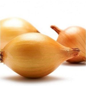 Early ripe onion variety Olin with excellent yield and excellent taste