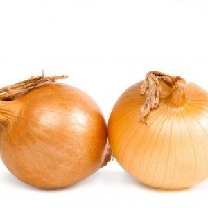 High Yielding Onion Hybrid with Amazing Taste - Centurion