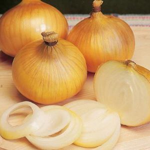 High Yielding Onion Hybrid with Amazing Taste - Centurion