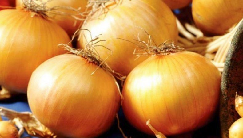High Yielding Onion Hybrid with Amazing Taste - Centurion