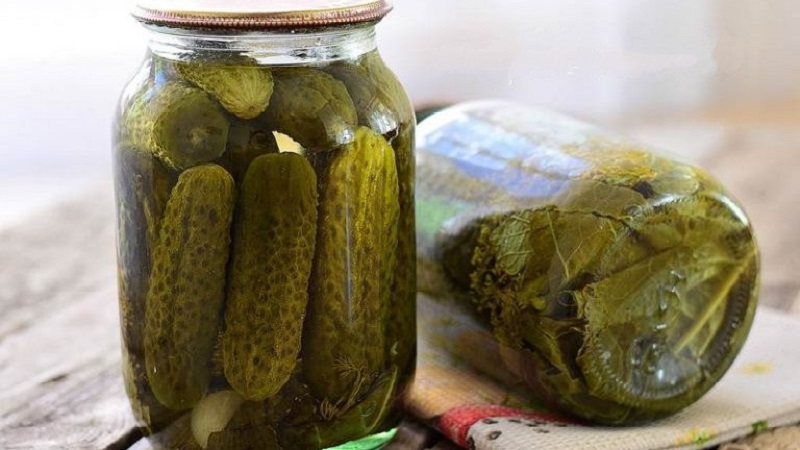 Cold method of pickling cucumbers: recipes