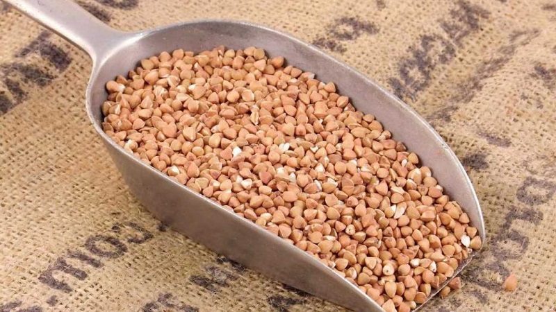 Can there be heartburn from buckwheat and why