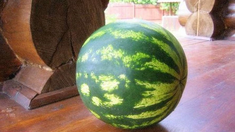 Is it possible to eat pink watermelon and why is it so