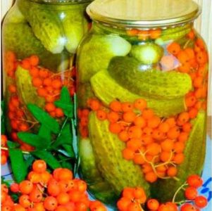 The nuances of preserving long cucumbers: is it possible to preserve Zozul's cucumbers for the winter and how to do it tasty and simple