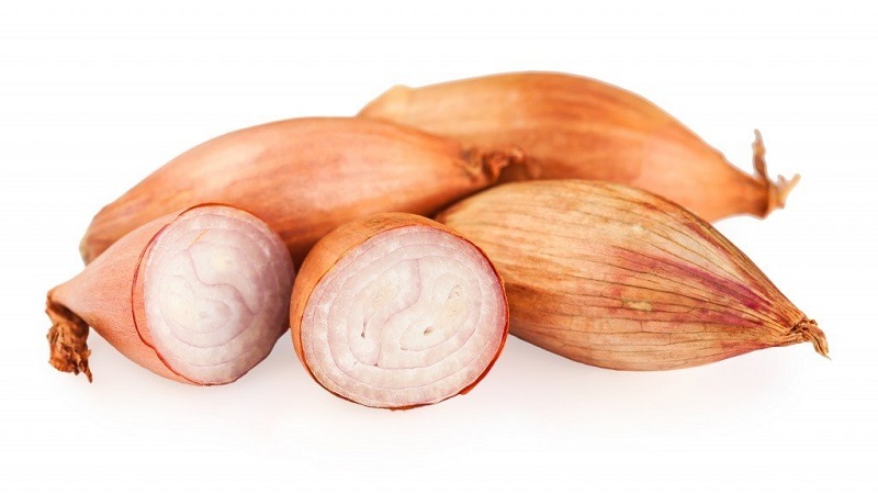 Features of cultivation and folk recipes with shallots