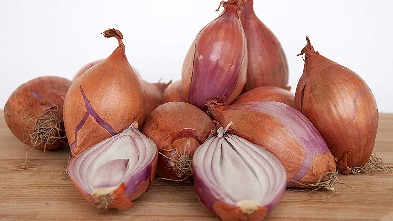 Features of cultivation and folk recipes with shallots