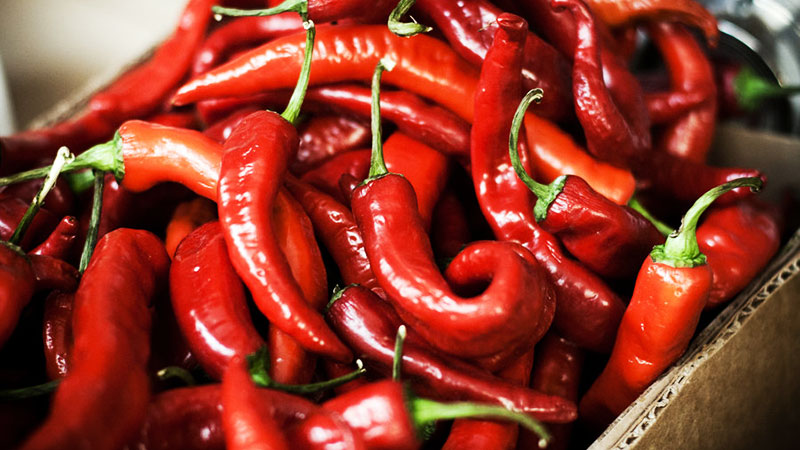 Cold pickled hot peppers in vinegar: the best recipes and tips from experienced housewives