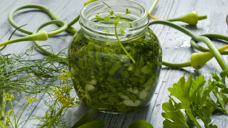 Instructions for preparing parsley with salt for the winter and other ways to preserve it