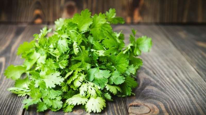 Benefits of parsley for women