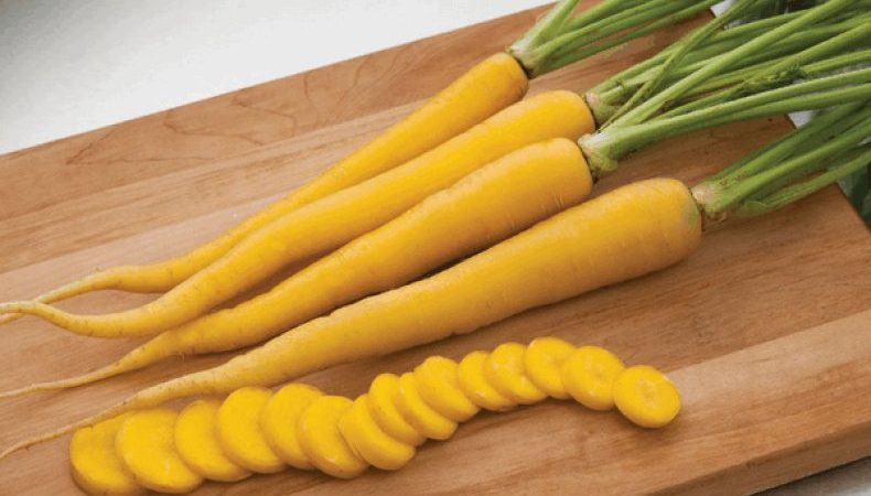Useful properties of yellow carrots, and what is the difference from ordinary orange