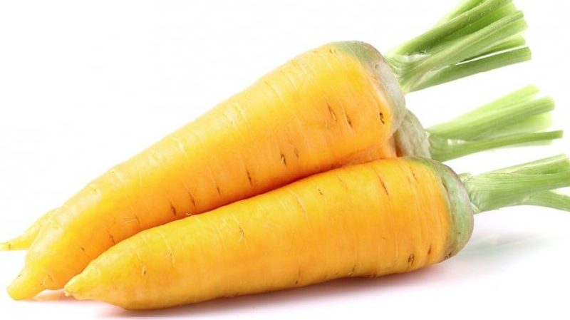 Useful properties of yellow carrots, and what is the difference from ordinary orange