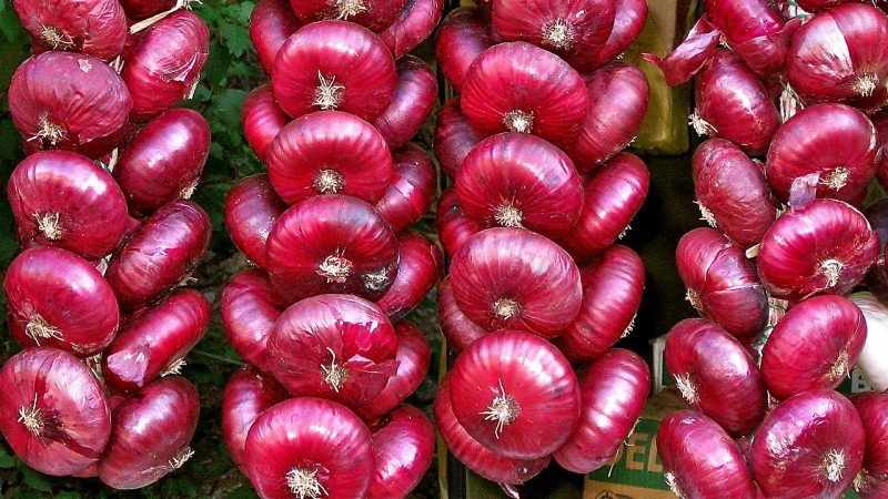 The benefits and harms of red onions for the human body