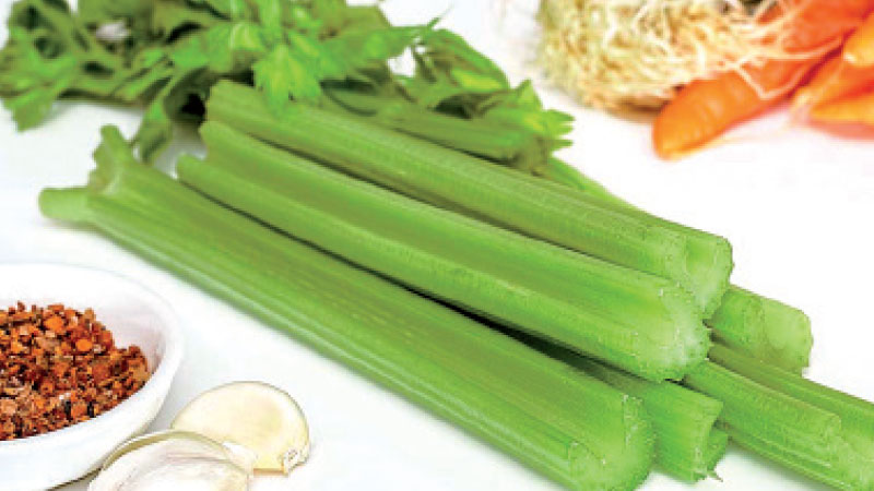 The benefits and harms of celery for gout