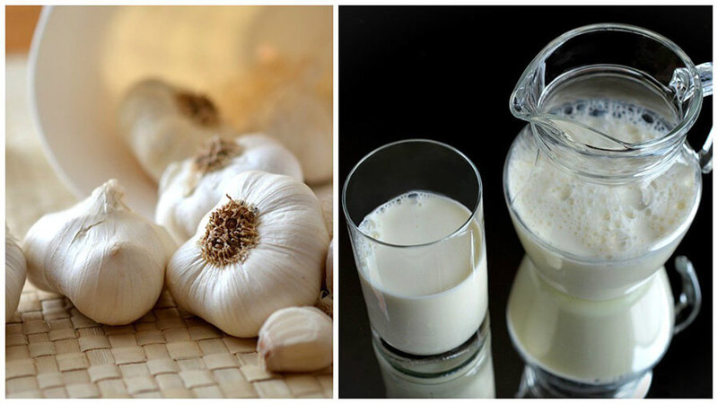 Does milk with onions help cough and how to use it correctly