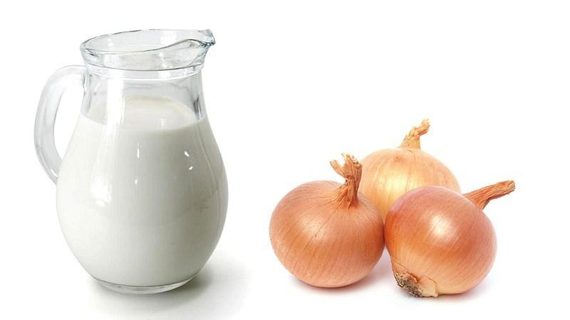 Does milk with onions help cough and how to use it correctly